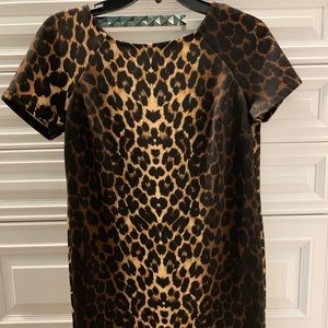 Animal print dress